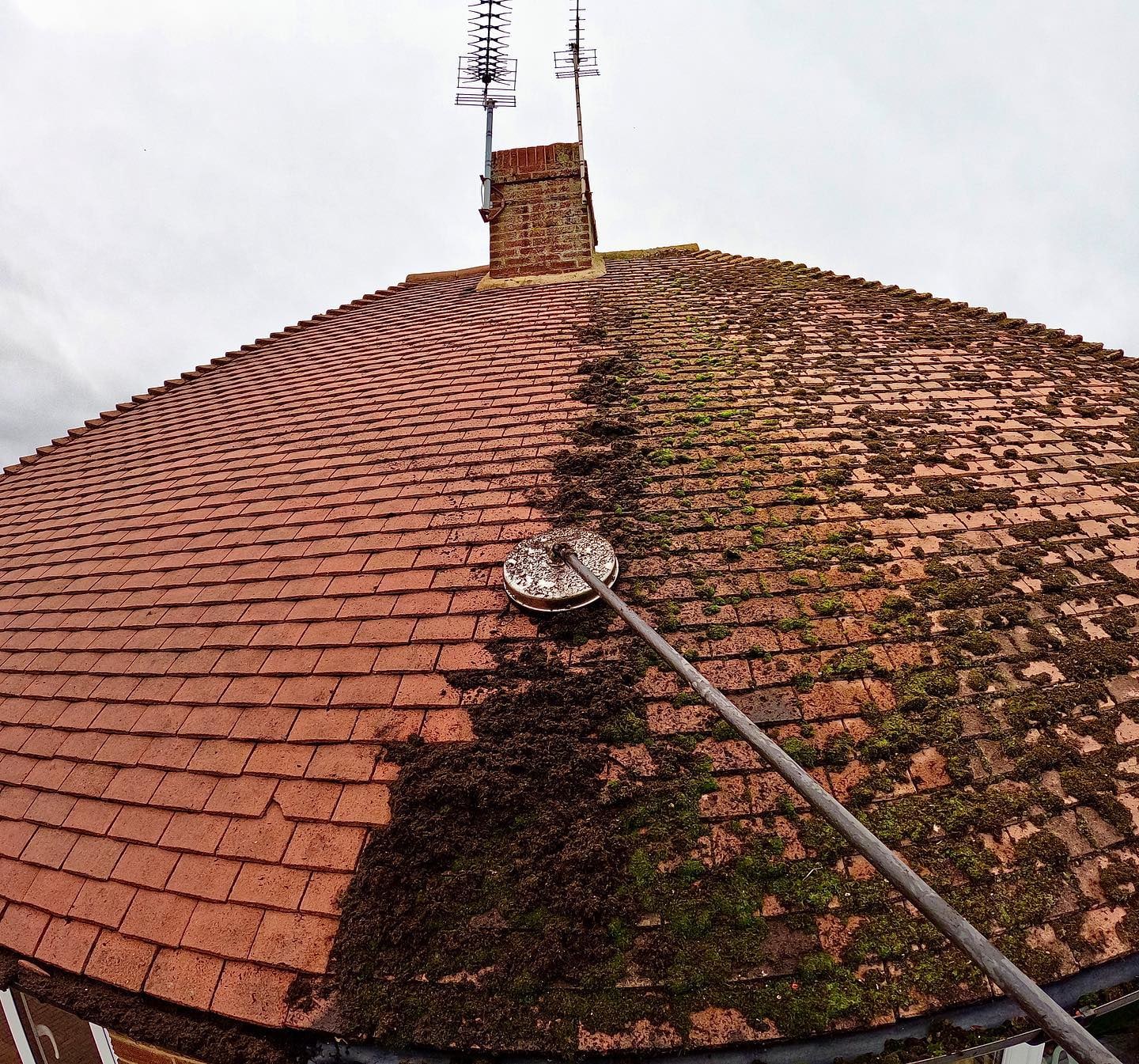 Roof moss removal in Oxted